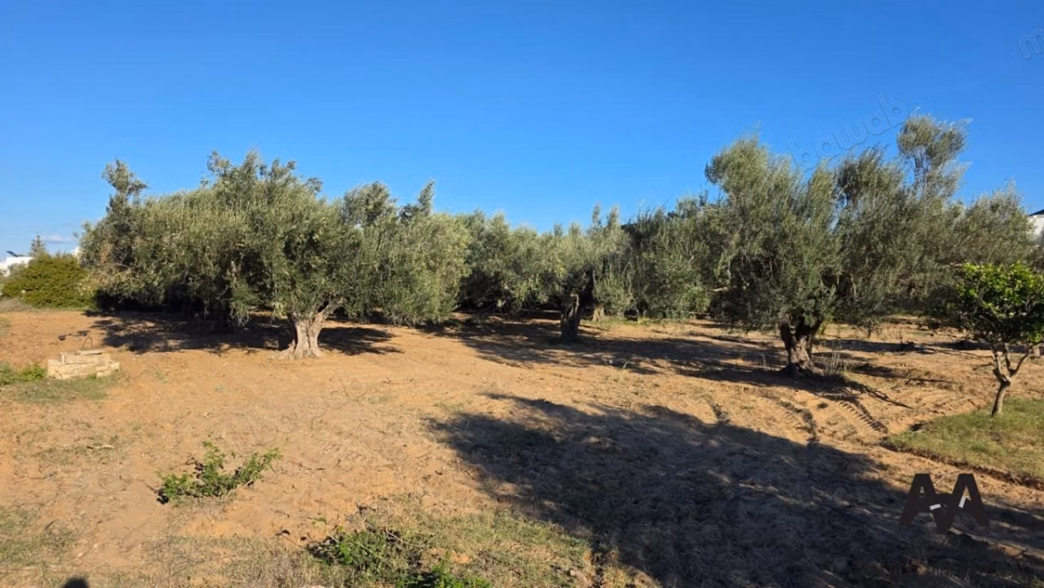 Terreno Agricolo 4.002 m² - Cité Mora Nabeul
