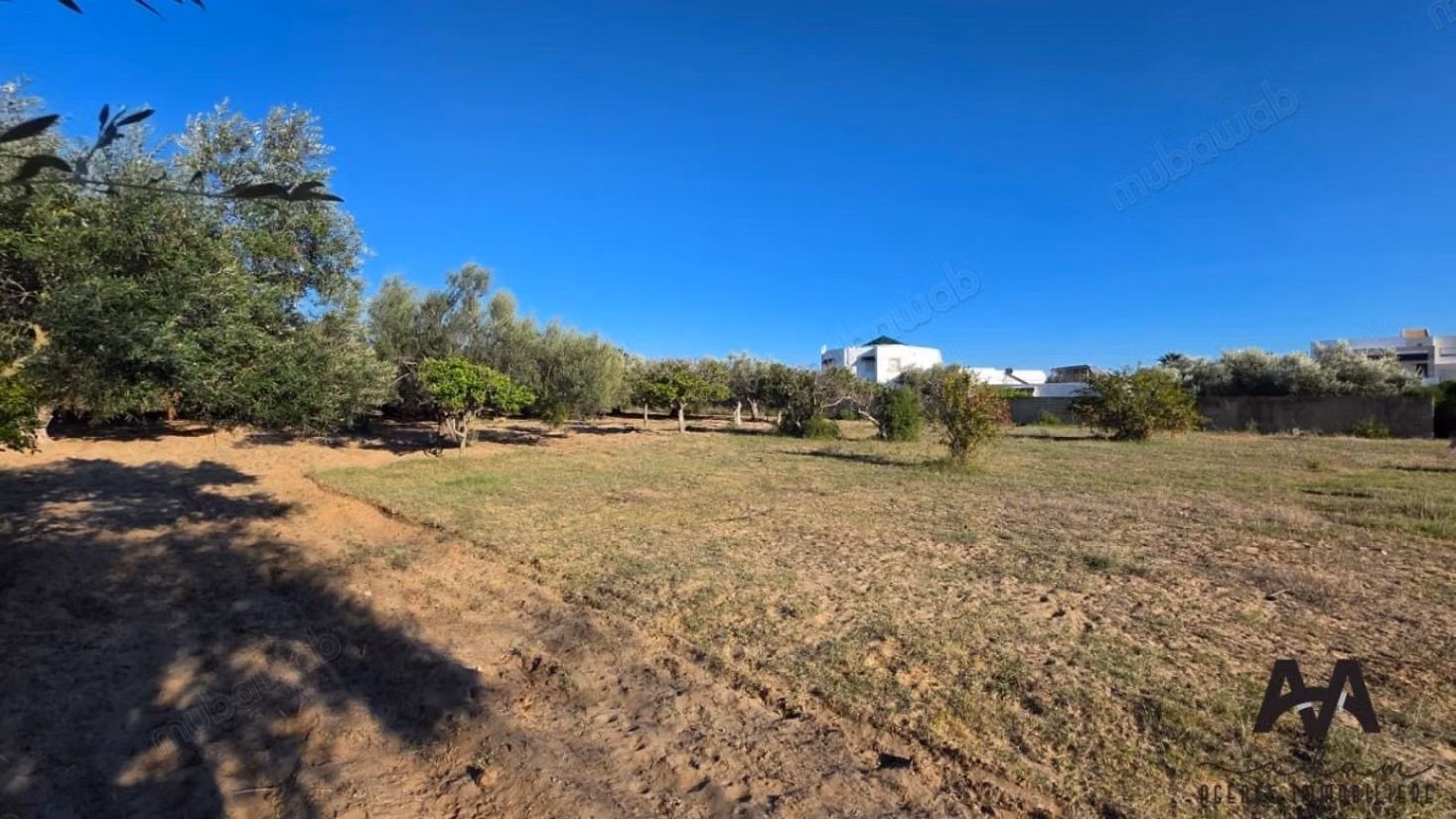 Terreno Agricolo 4.002 m² - Cité Mora Nabeul