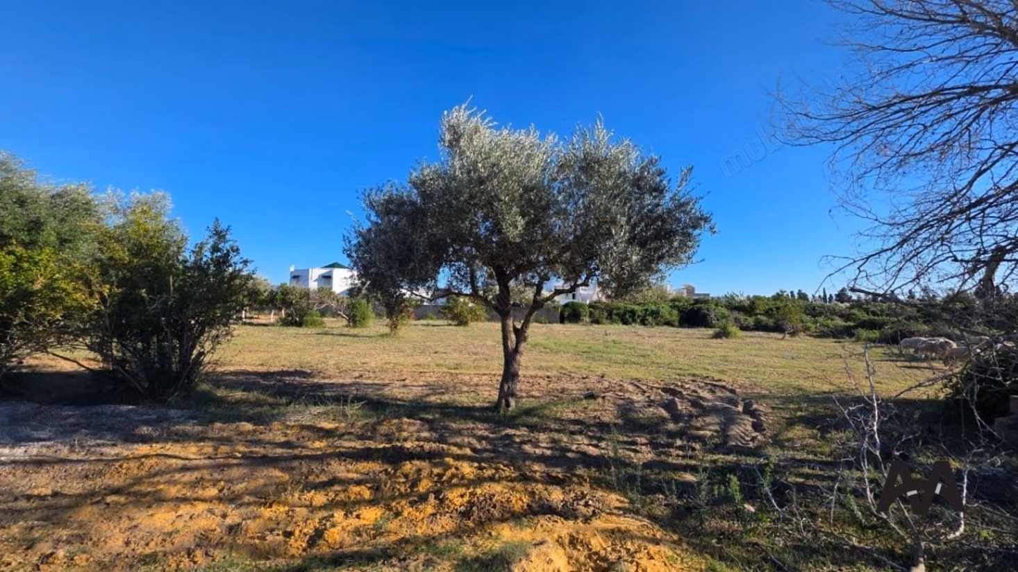 Terreno Agricolo 4.002 m² - Cité Mora Nabeul
