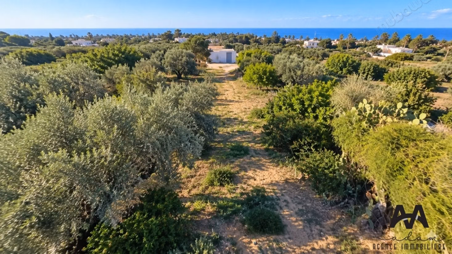 Terreno Agricolo 4.002 m² - Cité Mora Nabeul