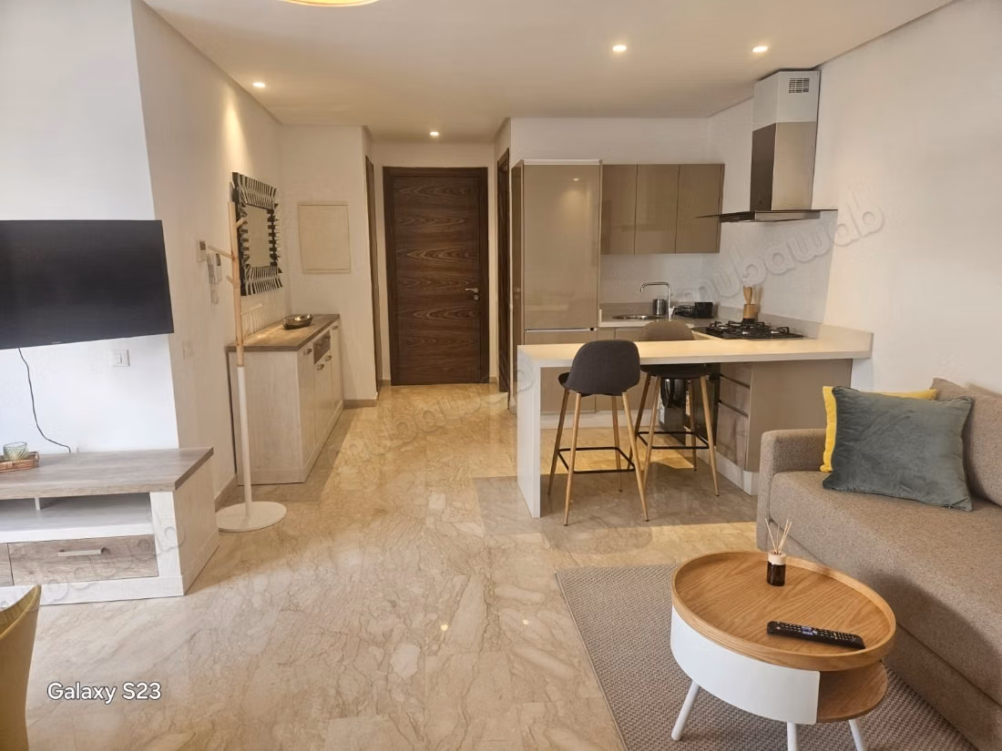 Large furnished studio with a 30 m² terrace for rent