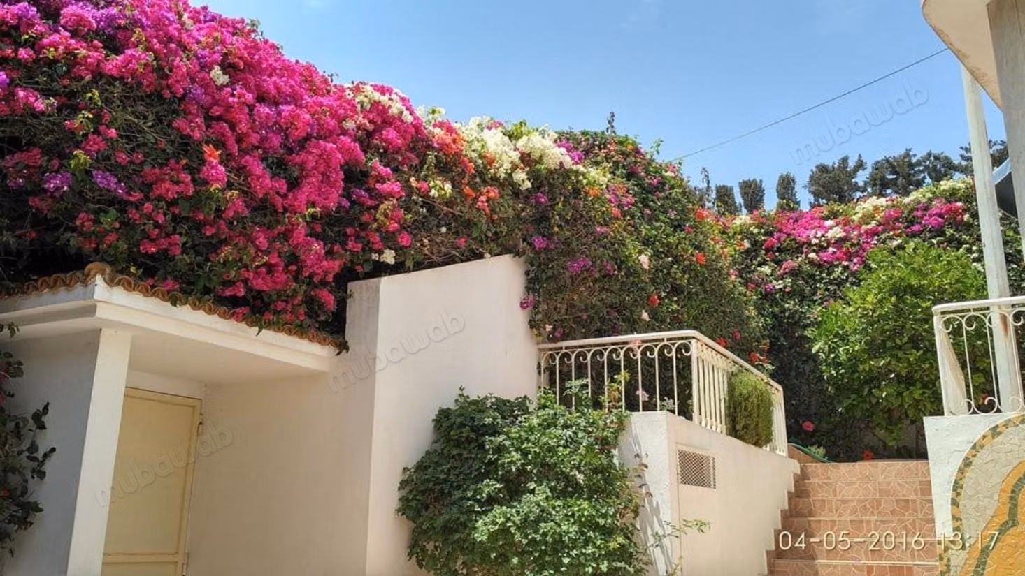 Belle maison a charaf