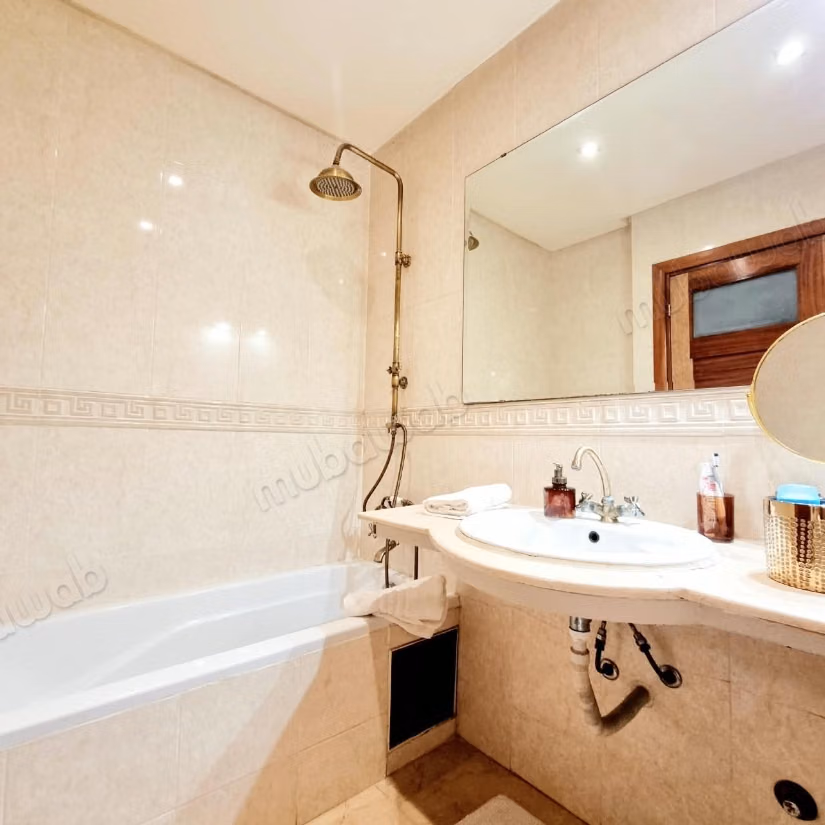Furnished Apartment Triangle d'Or