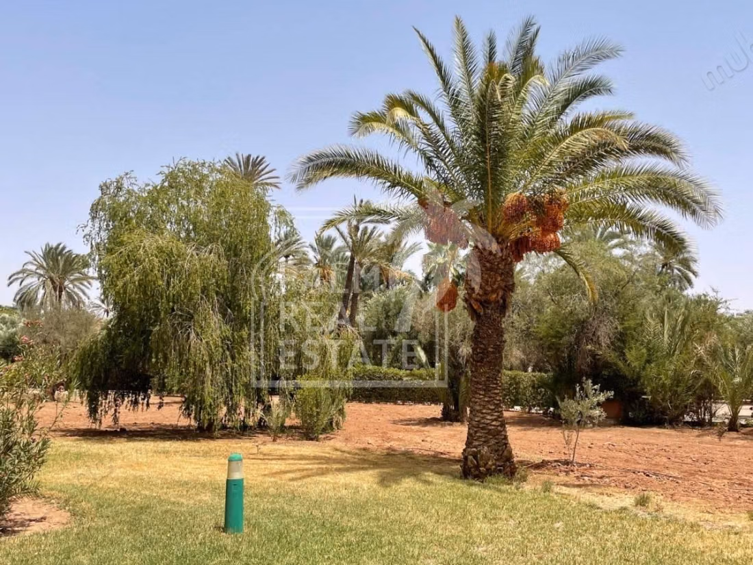 Furnished apartment for rent – Palmeraie, Marrakech