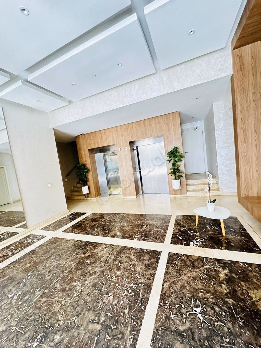 Studio 5500dh belvédère casa