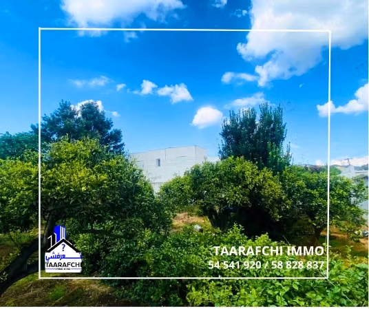 Terrain Clôturé Bir Bouregba Hammamet TH066: