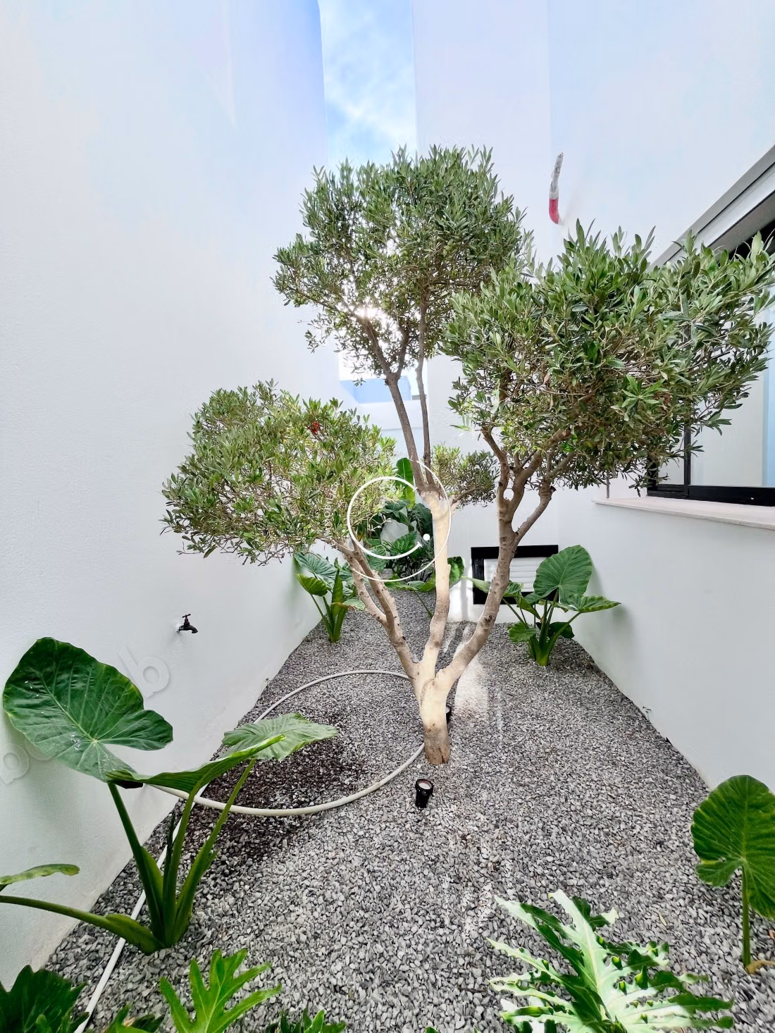 Villa in Stile Arabo-Moresco a Hammamet