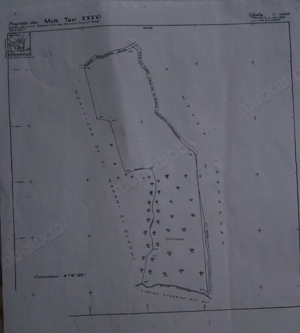 Achat de terrain à Ghmate.
Superficie 41620 m²