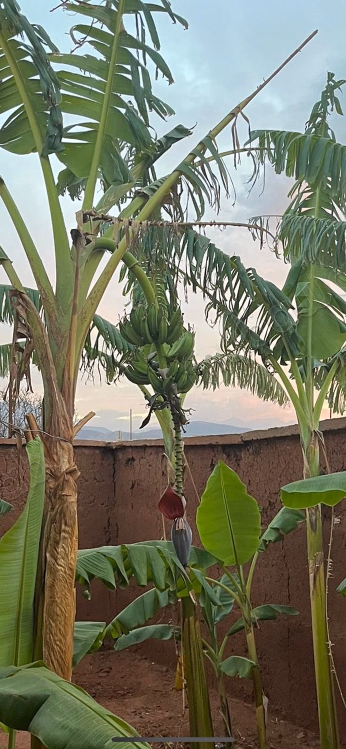 Maison avec magnifique vue entourées de Montagnes