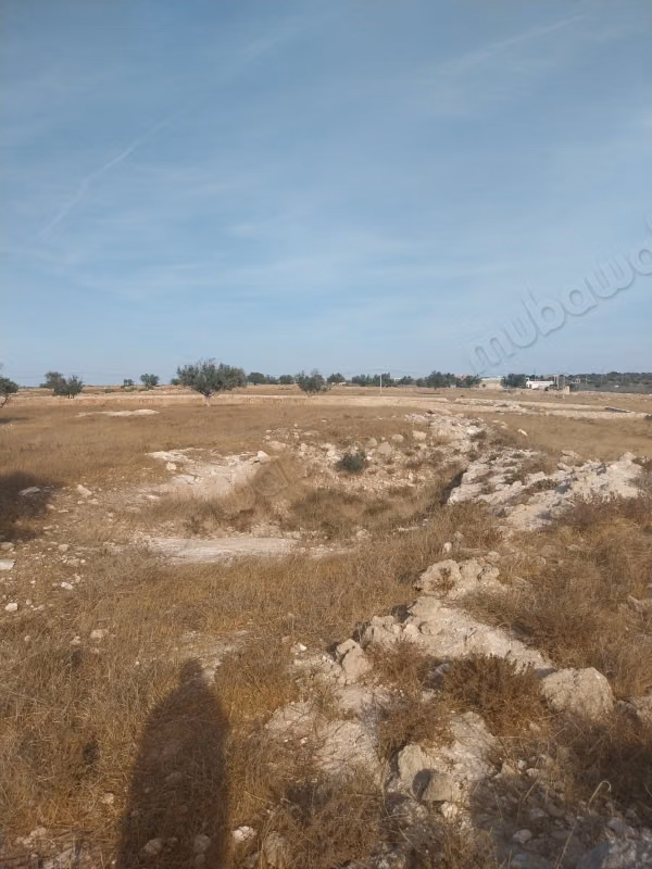 Terreno de 13 000 m² en venta a 12 km de Essaouira
