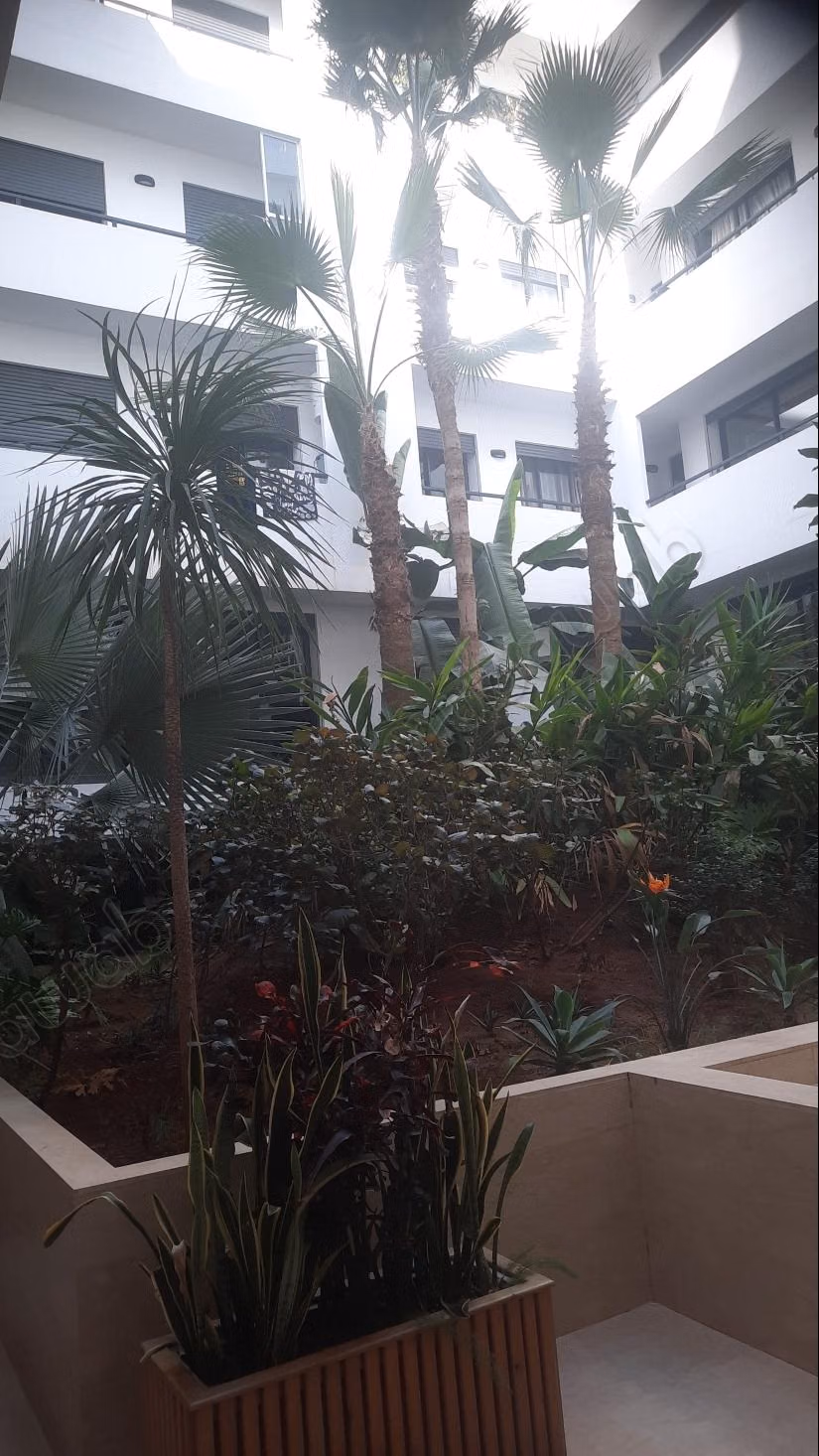 Apartamento Soleado, Espacioso y Elegante