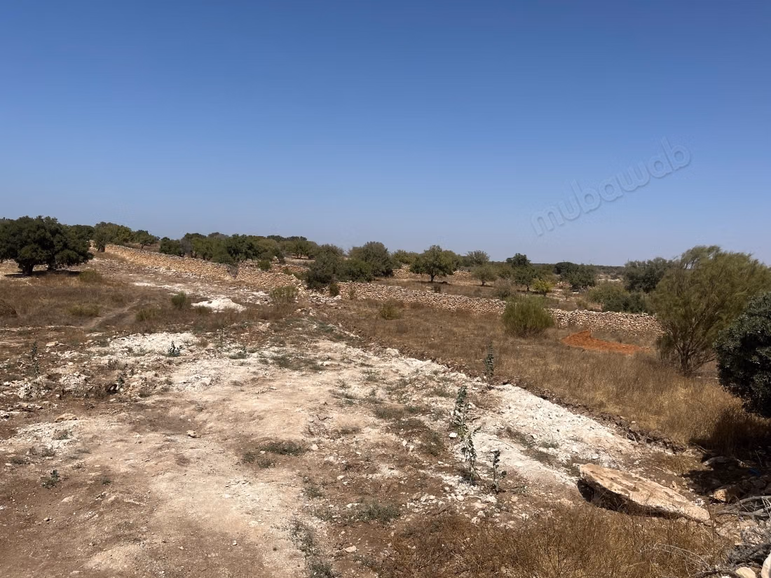 Terreno maravilloso en venta en Sidi Kaouki. Superficie total 17200 m²