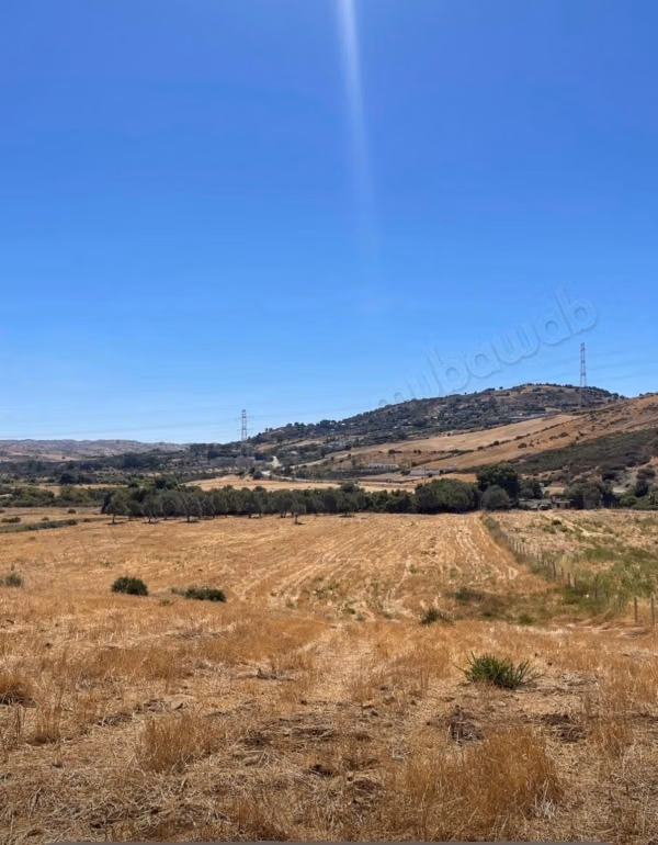 Terrain à vendre à Mellousa. Grande superficie de 6380 m²