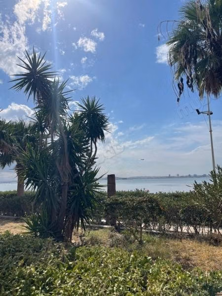 For rent an S1 apartment with garden by the lake