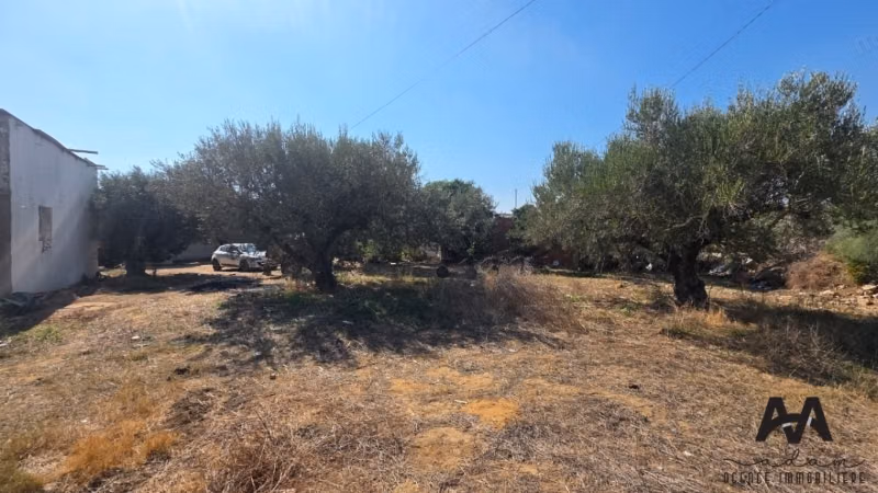 Terrain de 546 m² à vendre à Dagdoug, Nabeul