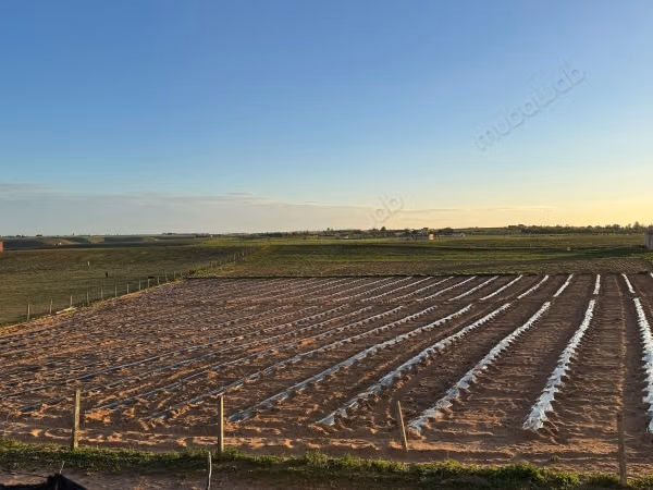 Terrain à louer à Tiflet. Superficie 23000 m²