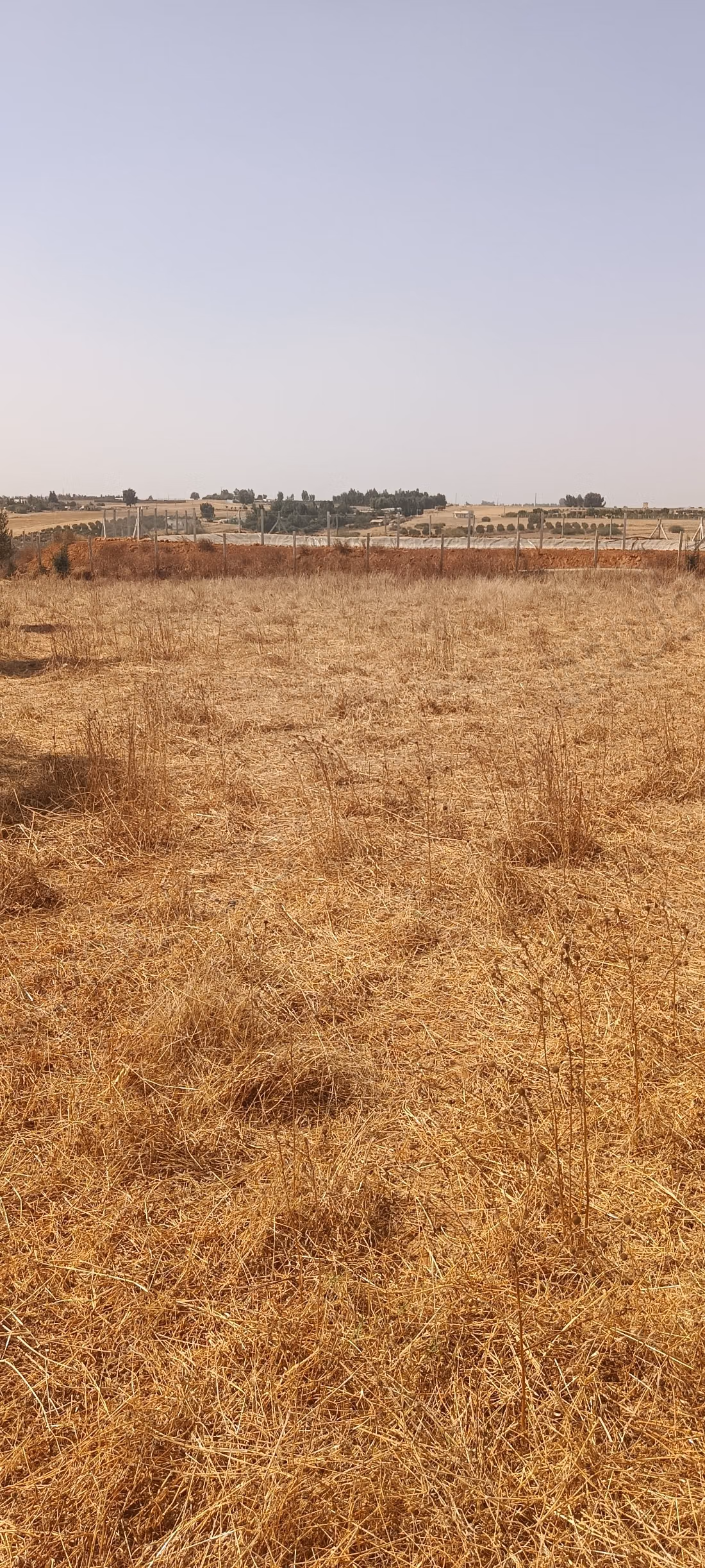 Terrain à louer à Tiflet. Superficie totale 2500 m²