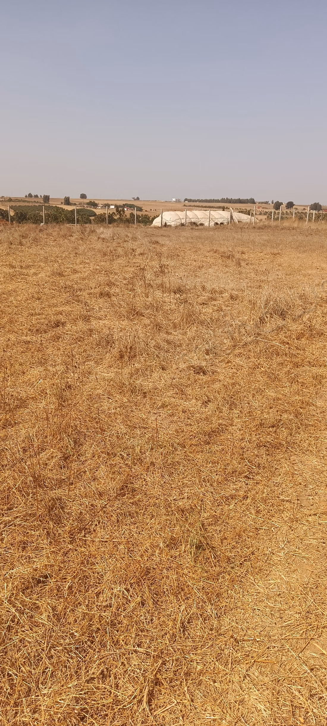 Terrain à louer à Tiflet. Superficie totale 2500 m²