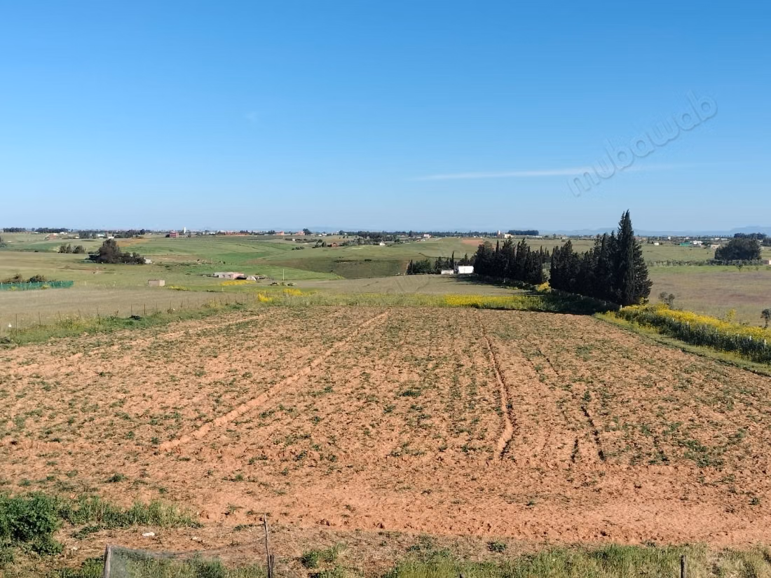 Terrain à louer à Tiflet. Superficie 50 000 m²