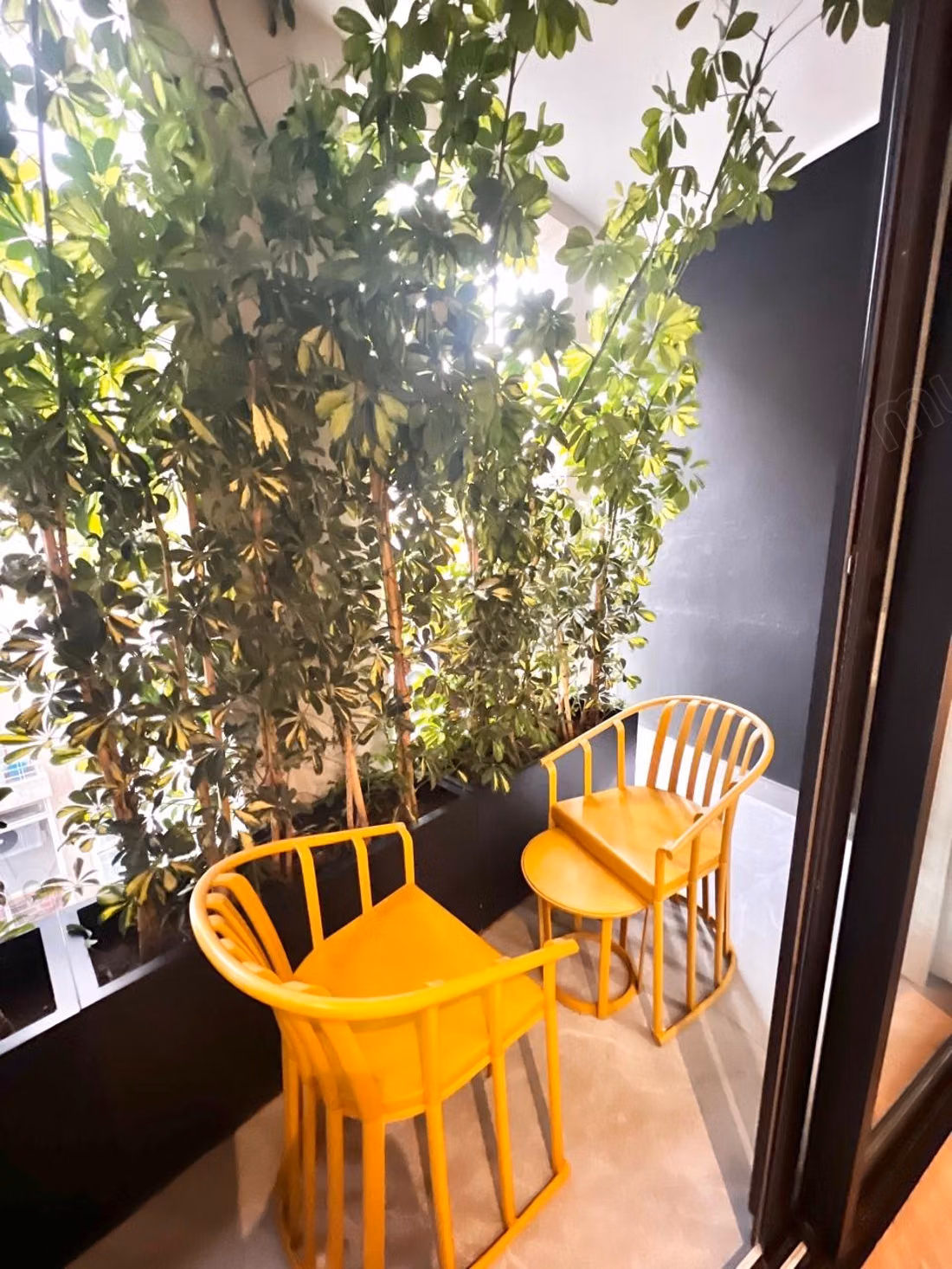 Superbe appartement meublé – Rooftop & Gym