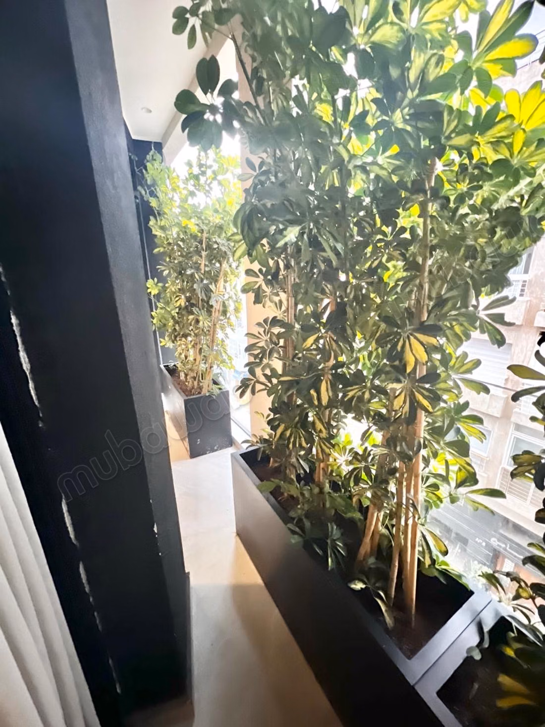 Superbe appartement meublé – Rooftop & Gym