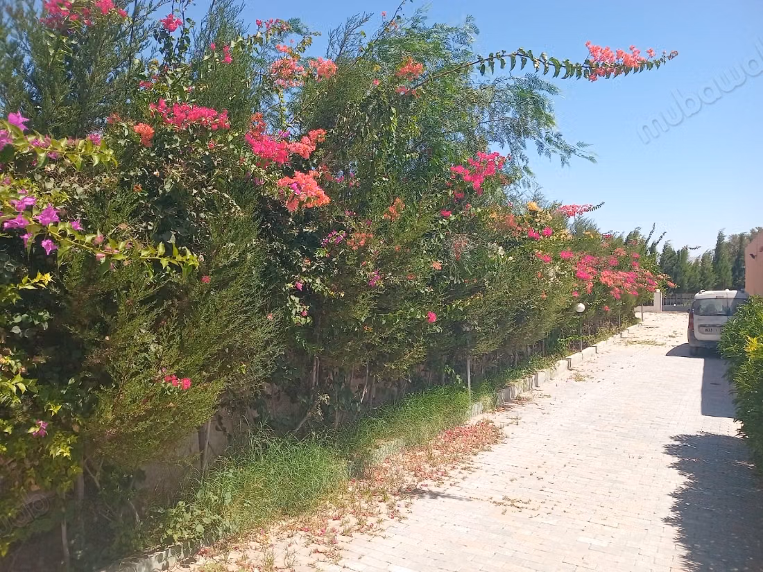 Villa titrée à vendre à Bouzama – Essaouira