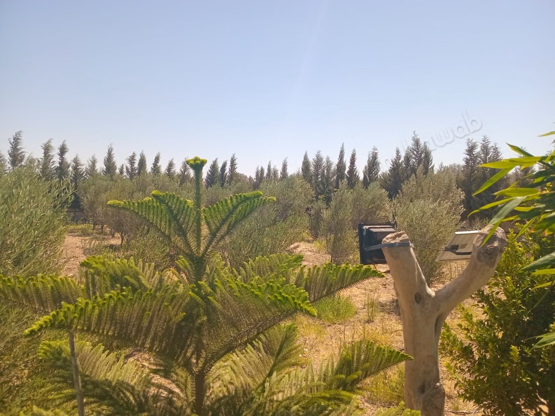 Villa titrée à vendre à Bouzama – Essaouira