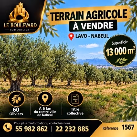 Terrain agricole 1H3000m² à Lavo Nabeul