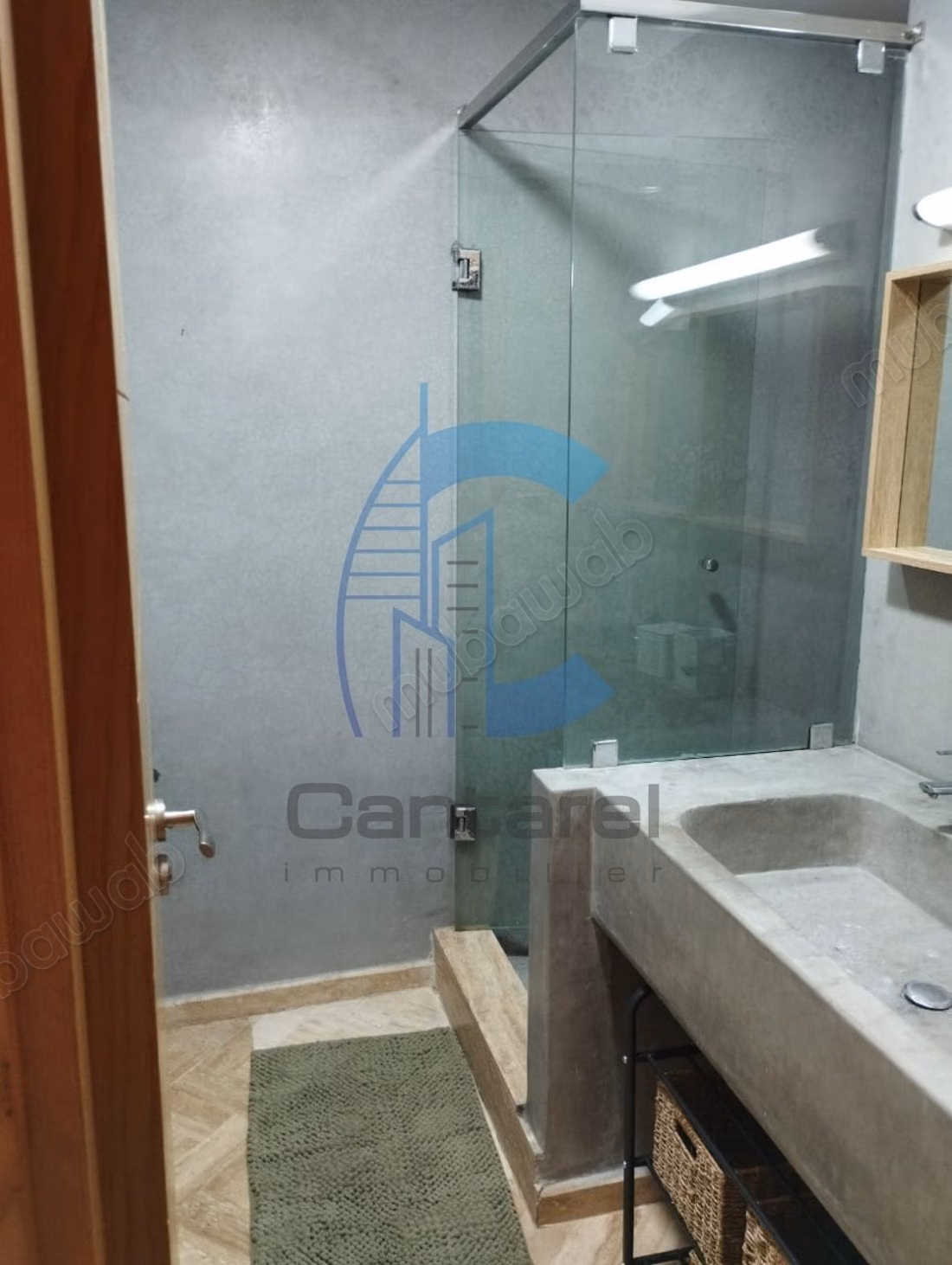 Location appartement meublé racine