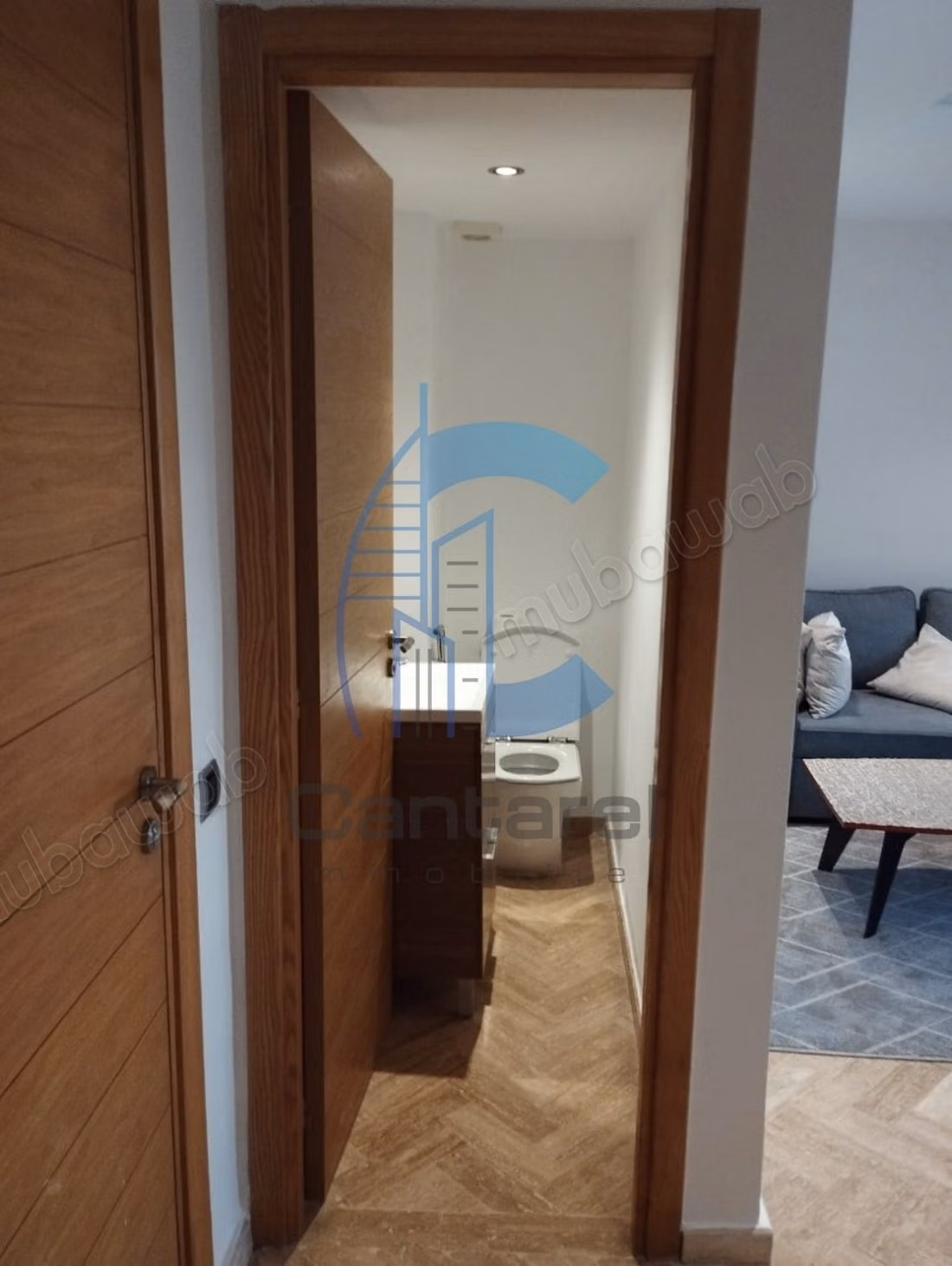 Location appartement meublé racine