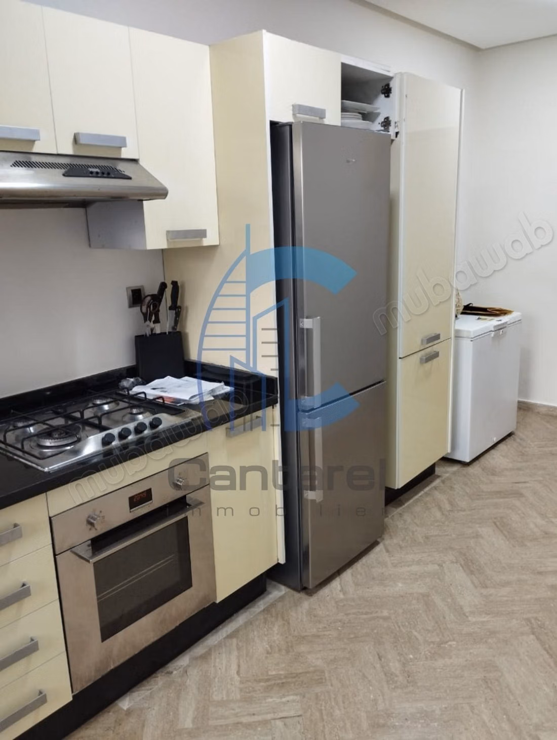 Location appartement meublé racine