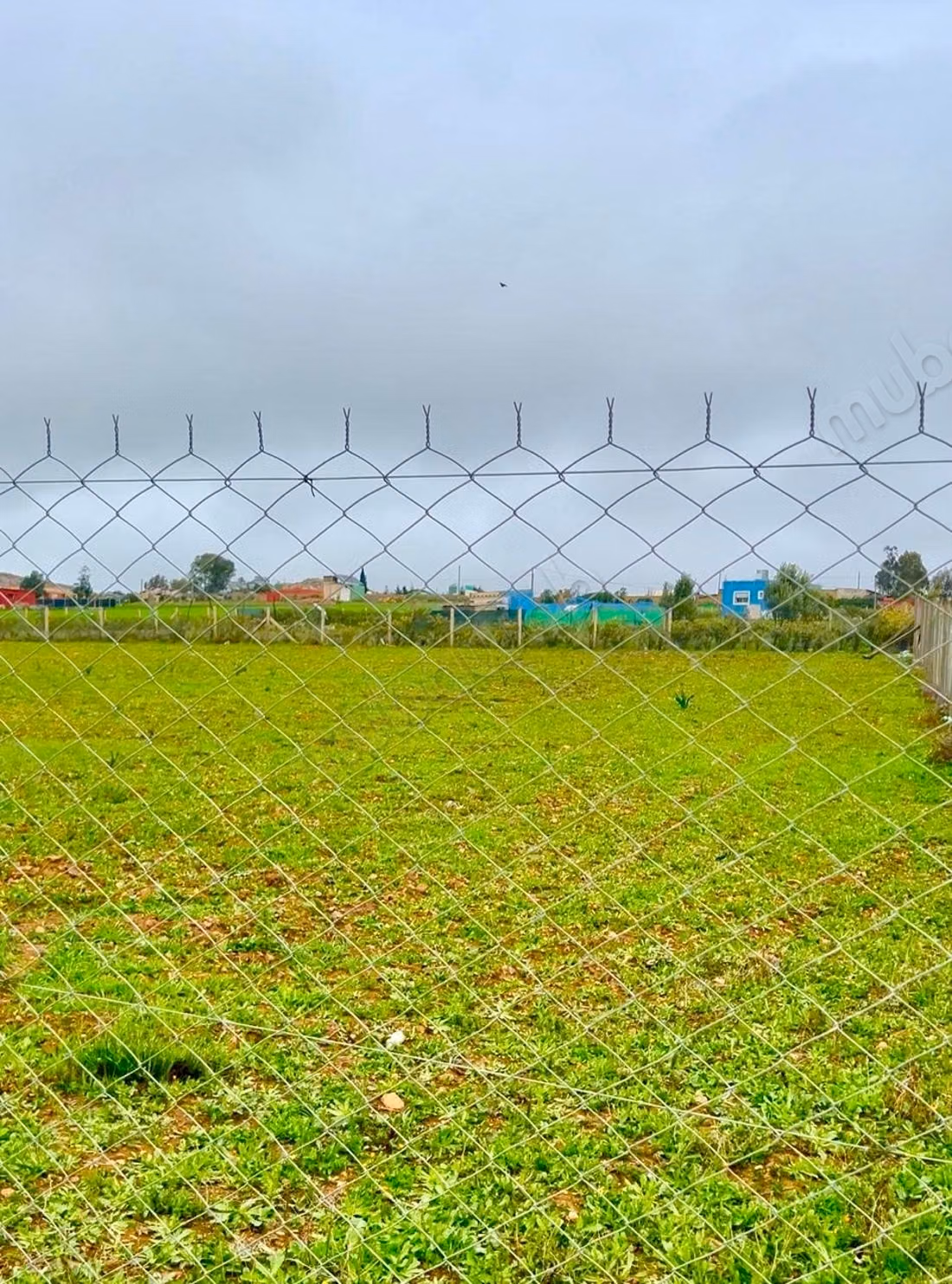 Agrarisch Land Te Koop in Benslimane