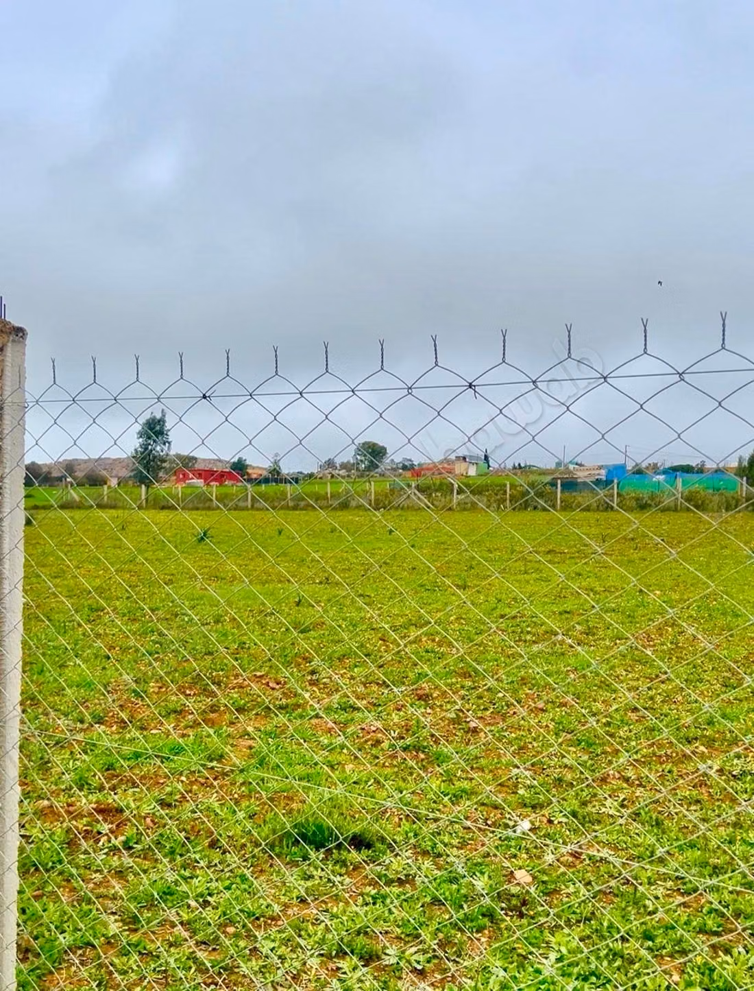 Agrarisch Land Te Koop in Benslimane