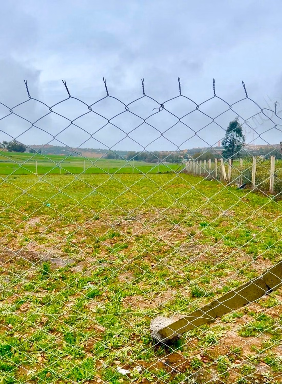 Agrarisch Land Te Koop in Benslimane