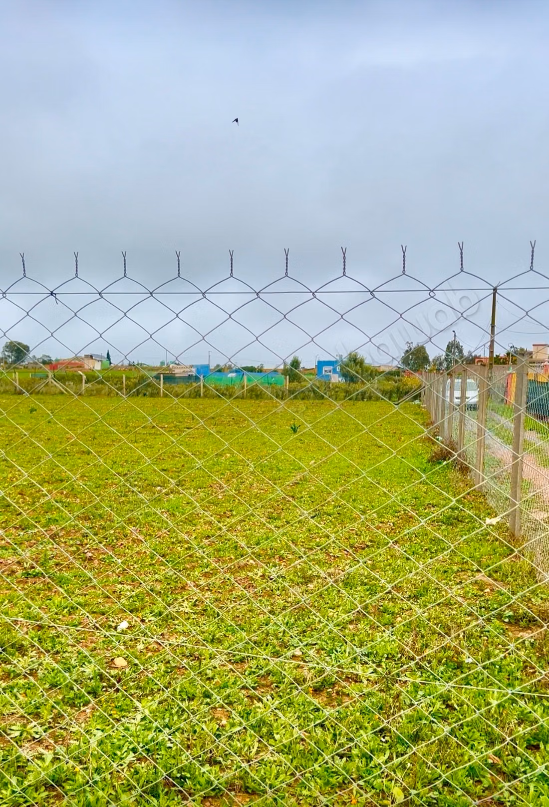Agrarisch Land Te Koop in Benslimane