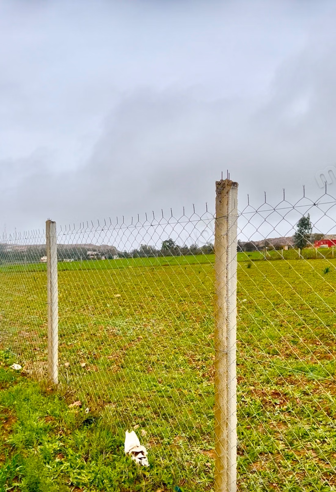 Agrarisch Land Te Koop in Benslimane