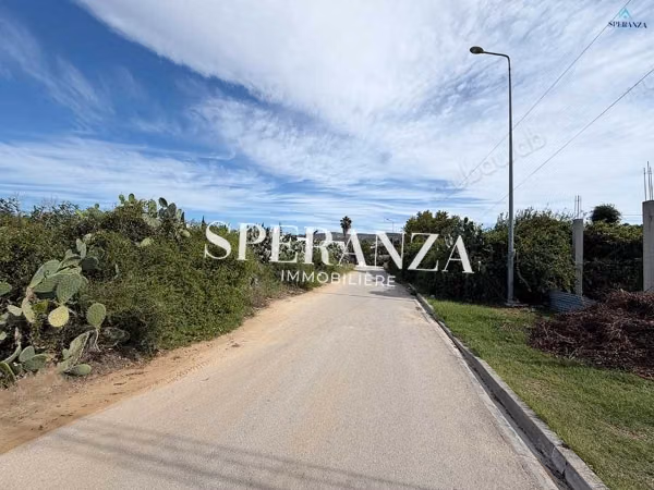 Vente Terrain Horizon