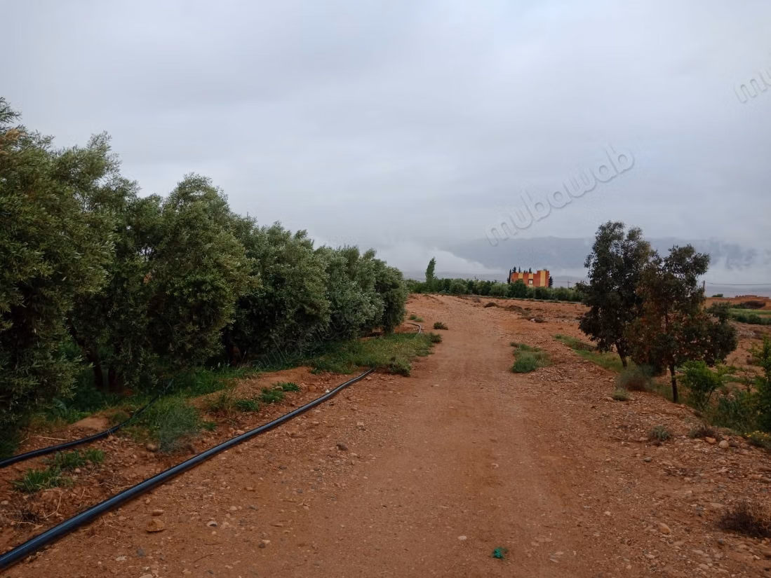 Terrain agricole titré a vendre