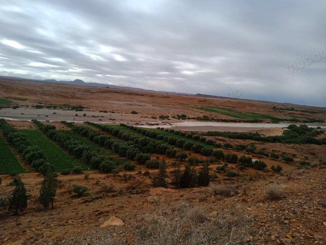 Terrain agricole titré a vendre