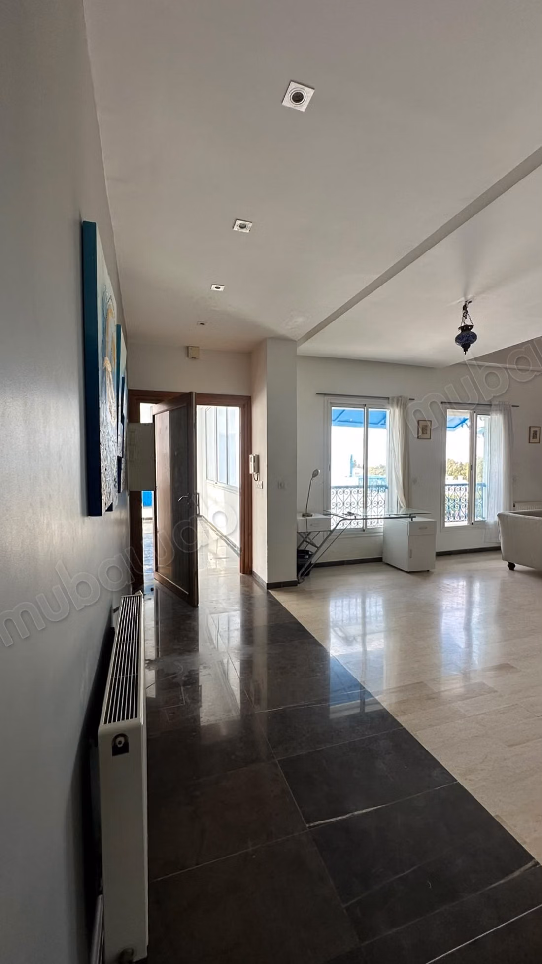 S2 Meublé avec Jacuzzi à Sidi Bou Saïd