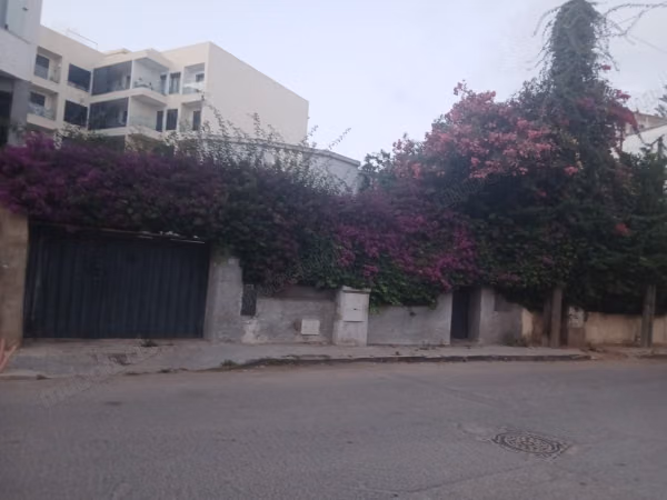 Terrain en vente à Palmier. 
Superficie 360 m²