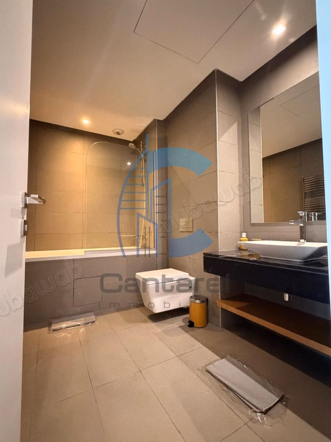 À louer studio neuf meublé de 60m² à cfc