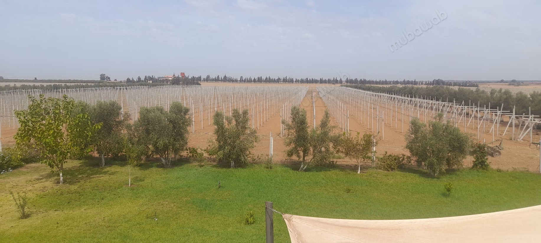 Domaine agricol à 45min de Rabat de 10.48 Hc