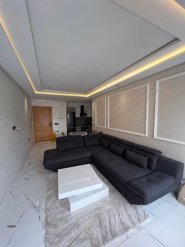 Studio meublé moderne de 56 m² à louer – Hermitage
