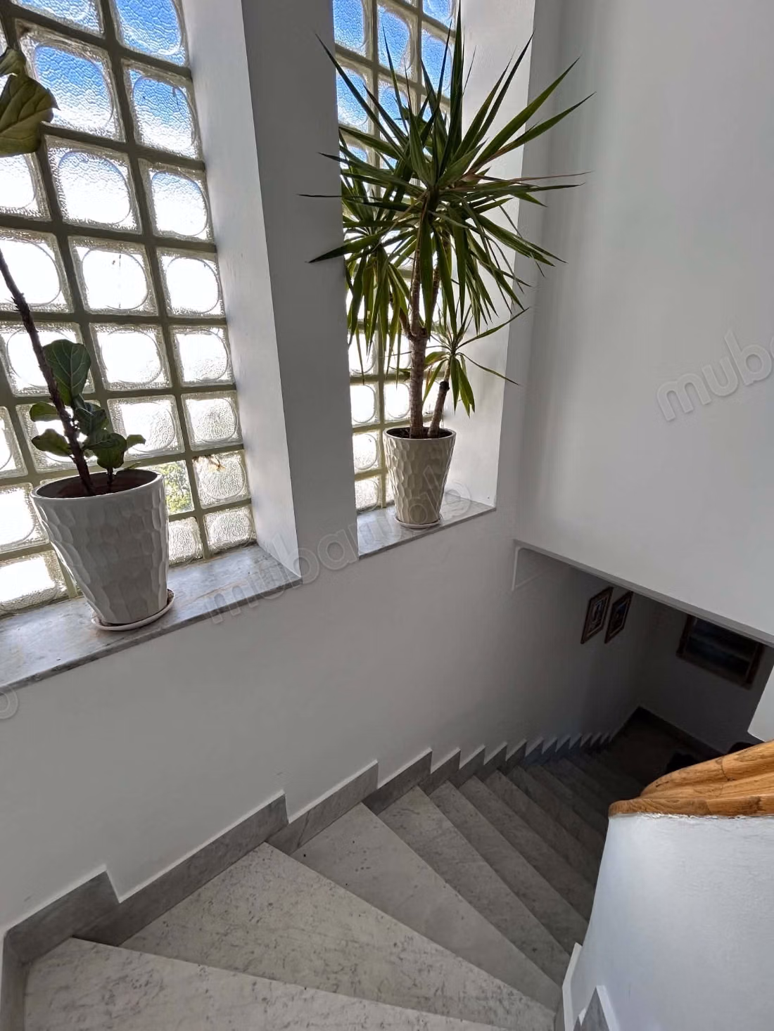 Villa S3 meublée avec jardin, Le Kram