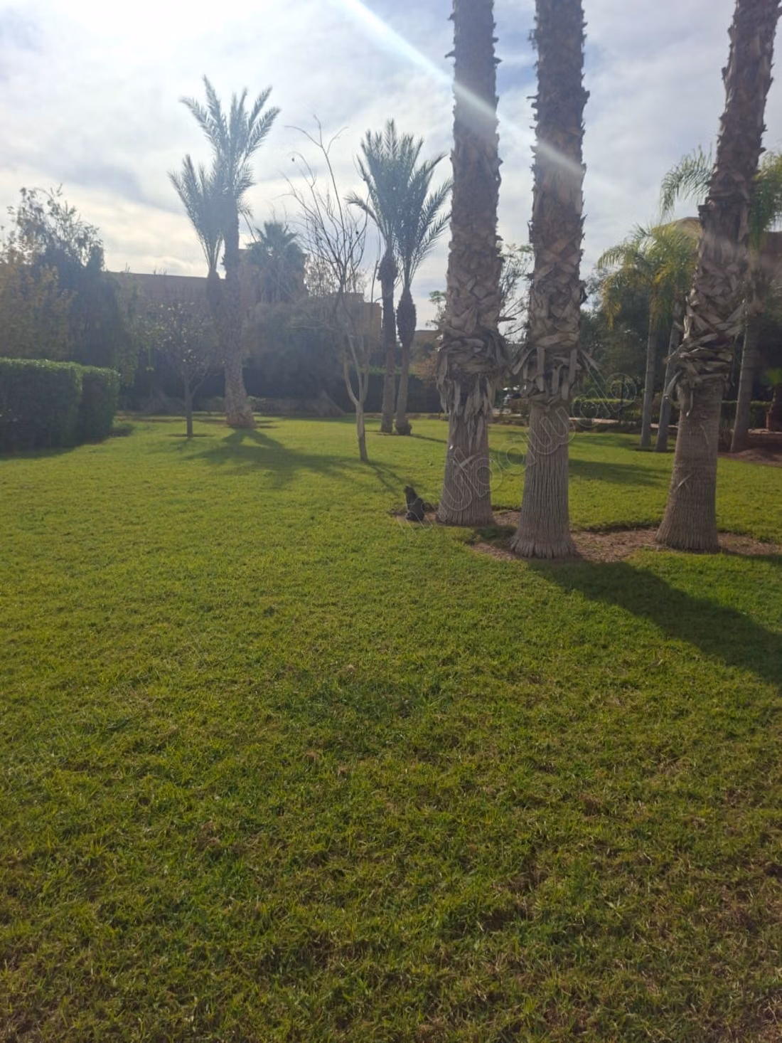 Villa riad à loué longue durée 
route de fes
