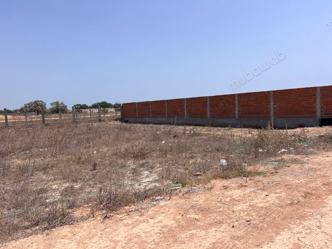 À vendre – lots de terrain à Hammamet Sud
