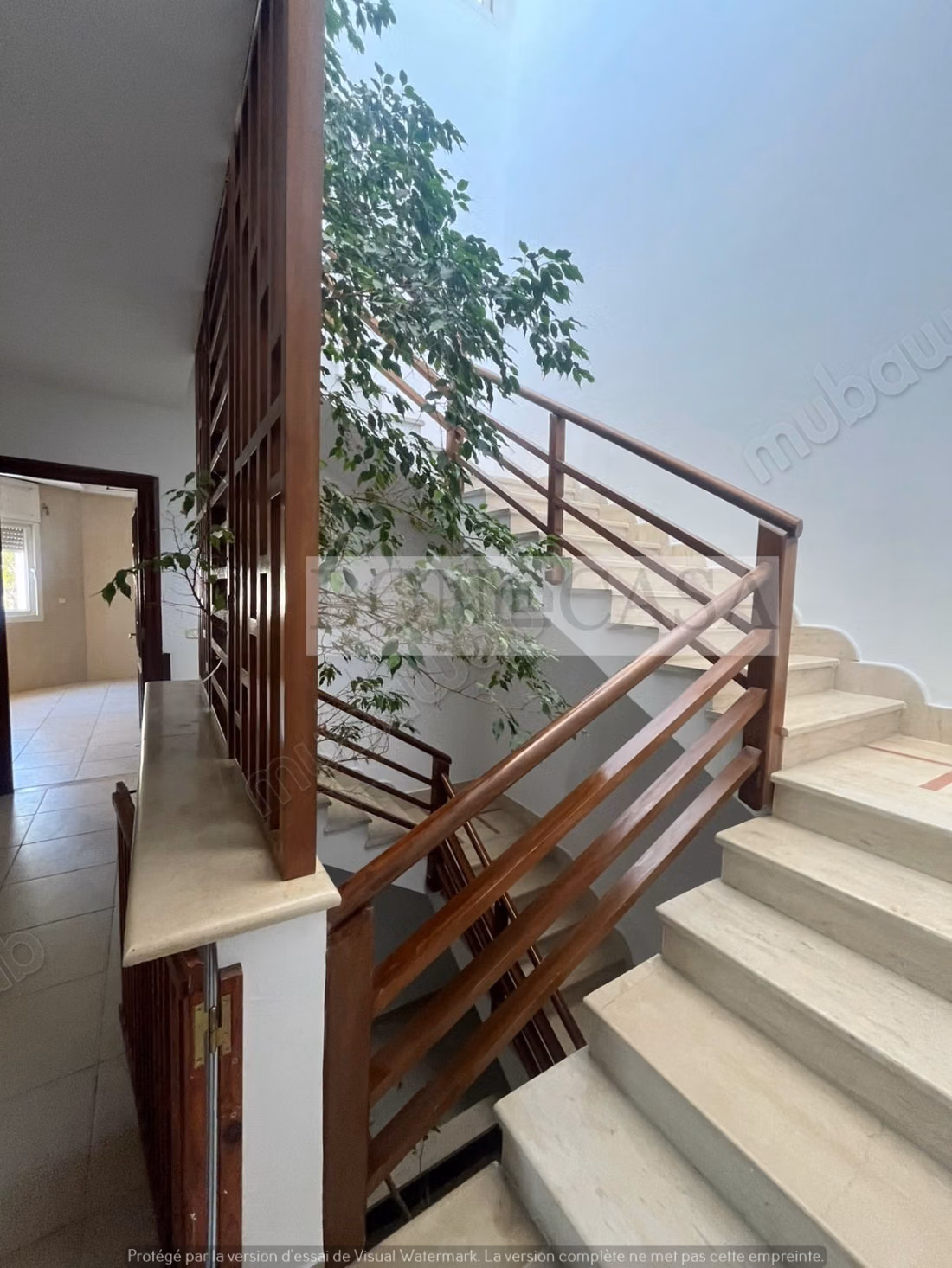 Villa S3 with pool and garden for rent in Marsa
