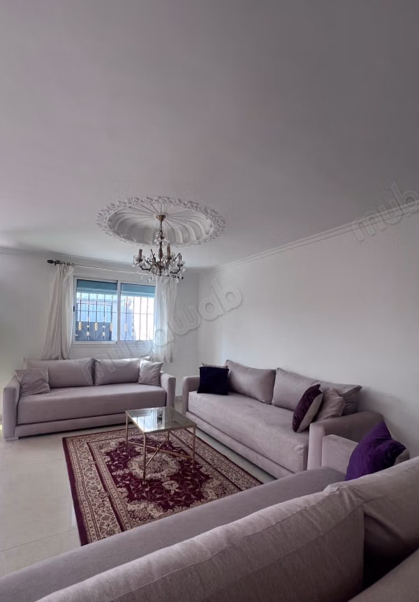 Furnished apartment with sunny terrace