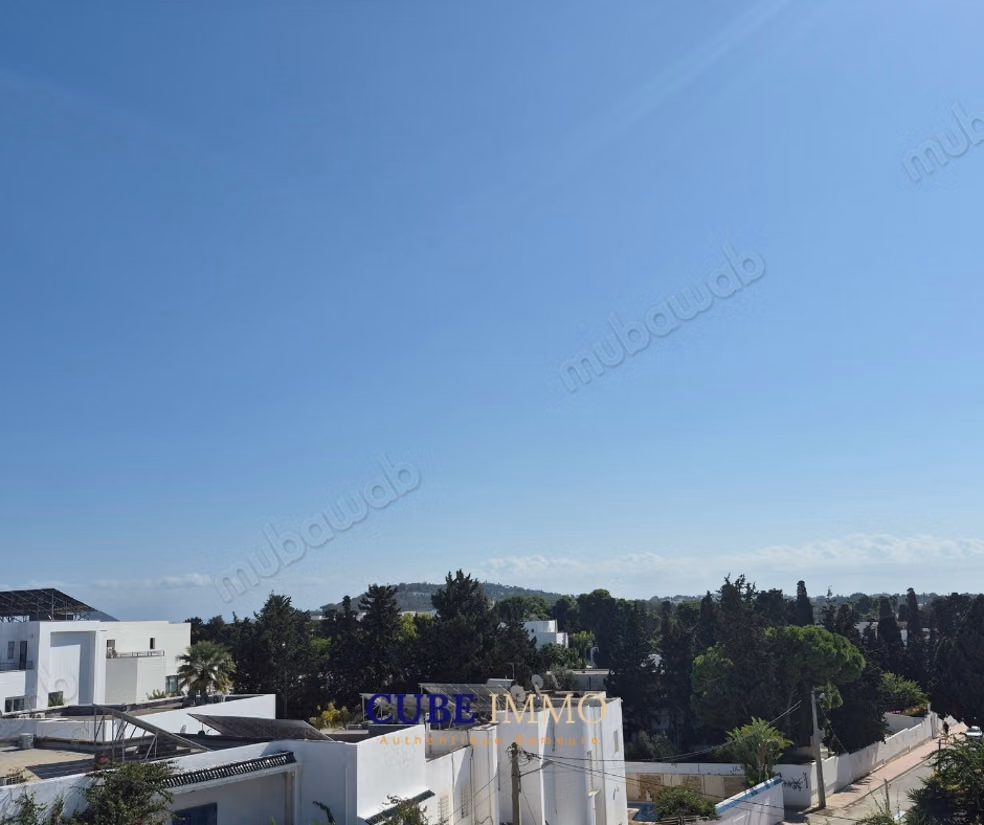 Spacieux appartement avec studio et toit terrasse